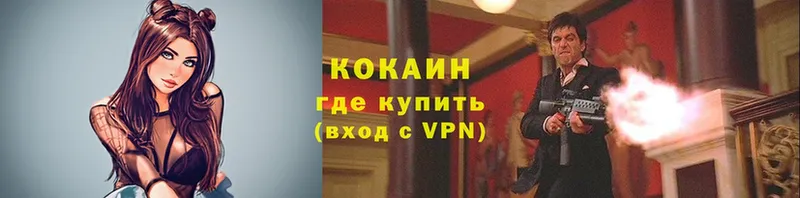 Где продают наркотики Кашин ГАШ  COCAIN  Меф  АМФ  Конопля 