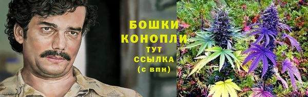 ПСИЛОЦИБИНОВЫЕ ГРИБЫ Ельня